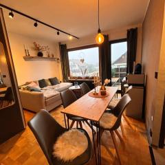 Brauni City Apartment