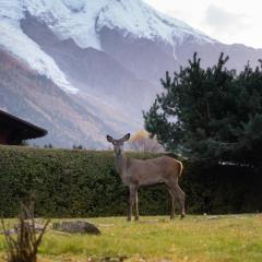 Chalet la Pagode, vue Mont-Blanc et jardin privé