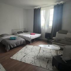 Lionceau appartement 2 pièces une chambre et un grand séjour accueille 5 personnes