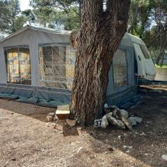 Room in Cabin - Caravan near the sea 4