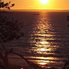 La Baie en direct du Balcon !