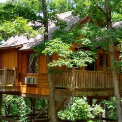 Enchanted Treehouses Hansel & Gretel