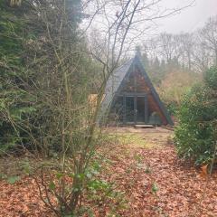 A-huis in het bos van Drenthe