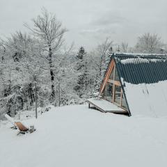 A-frame Forest Nest