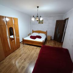 Apartament Nemira