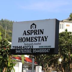 Asprin Homestay