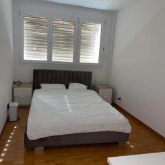 Thun apartment