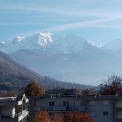 Appartement récent au pied du montblanc