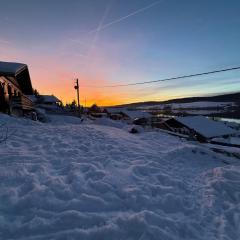 Chalet Charmant rénové au bord du Lac St Point