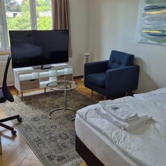 Very spacious studio with balcony - Parkview 2