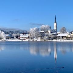 Wellness & Spa Apartments Lipno - Frymburk