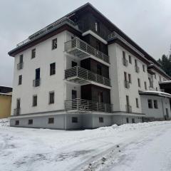 Apartmán Harrachov 372