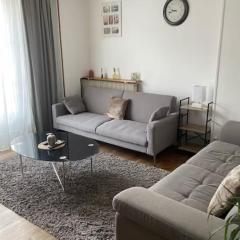 Appartement spacieux cosy centre Epinal !!!