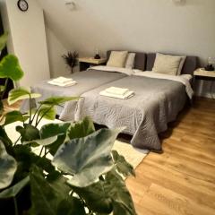 Apartamenty Astor - Księżycowy