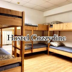 Hostel Cozzydine