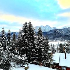 Tatry apartment with a view