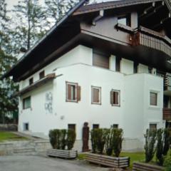 Ampezo Chalet