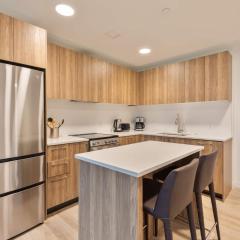 Luxury Private Apt Fenway - IDL-337