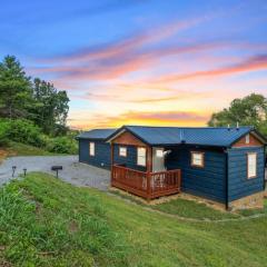 Brand New Tiny Cabin! A Bearly Adventure