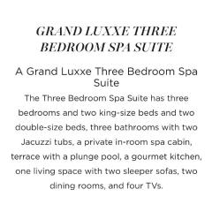 Vidanta Grand Luxxe 3 Bedroom Spa Suite