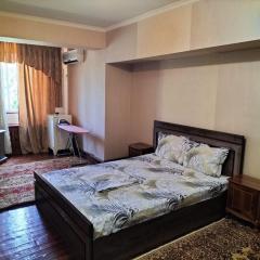 Apartments in Downtown of Tashkent