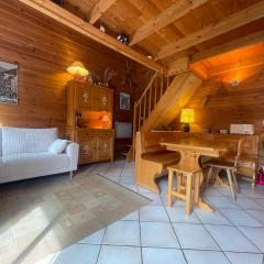 Chalet paisible sud, proche pistes et randonnées - FR-1-624-176