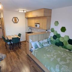 Apartament Resort Izerski 6 z pięknym widokiem i ogródkiem - 5D Apartments