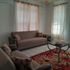 Abigail Diamond 2 bedroom apt Near Nanny Cay marina