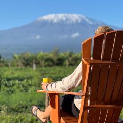 Camp David-Amboseli