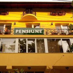 Pensiunea Dinu Residence