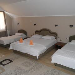 Guest house Vila Bor