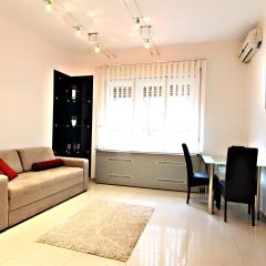 City Centre Apartment Novi Sad