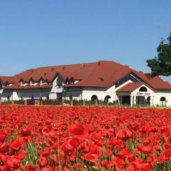 Hotel Dwór Galicja