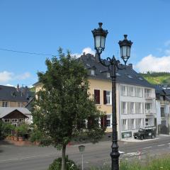 Mosel - River - Quartier 31