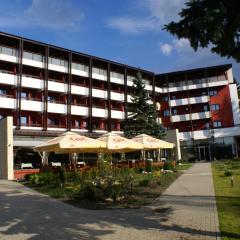 Hotel Carpați