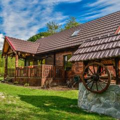 The Little Mountain Cabin