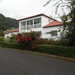 Tropical Fruit Garden