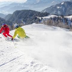 Alpen Appartements Oberlehengut - HIDEAWAY