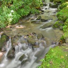 Panther Creek Cabins