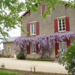 Les Vieilles Vignes