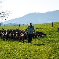 Agroturistika kozí farma Rožnov pod Radhoštěm