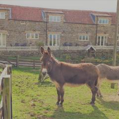 Meadowbeck Holiday Cottages