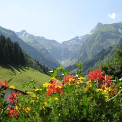 Ferienparadies Spielmannsau