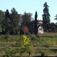 Casali del Picchio - Winery