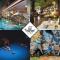 Norweska Dolina Family&Pet-friendly Resort