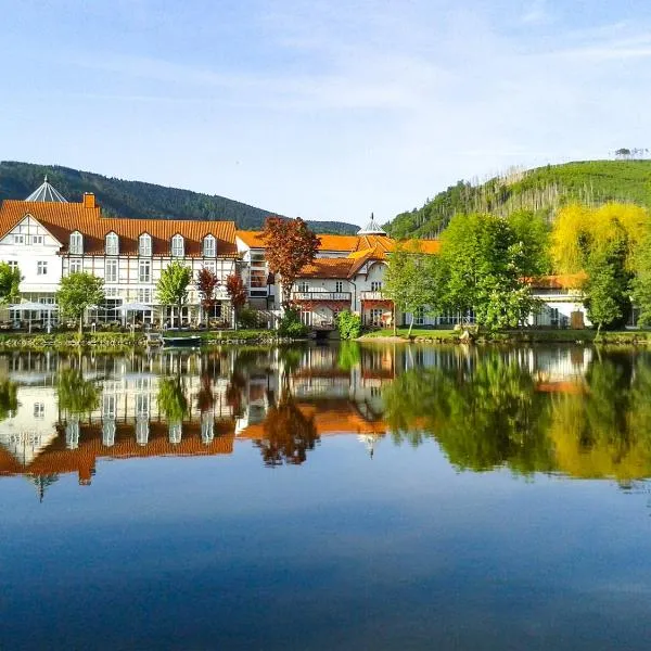 Landhaus Zu den Rothen Forellen, hotel v destinácii Ilsenburg