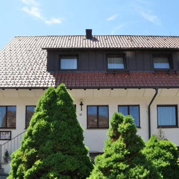 Gasthof-Hotel-Löwen, Hotel in Hechingen