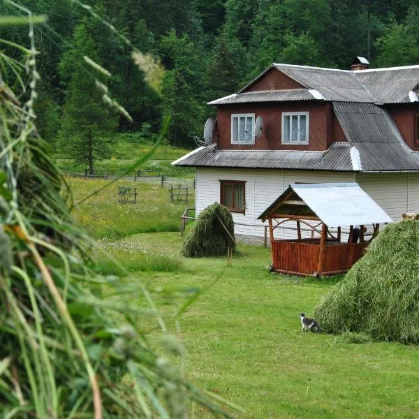 Na Hutori, khách sạn ở Yablunytsya