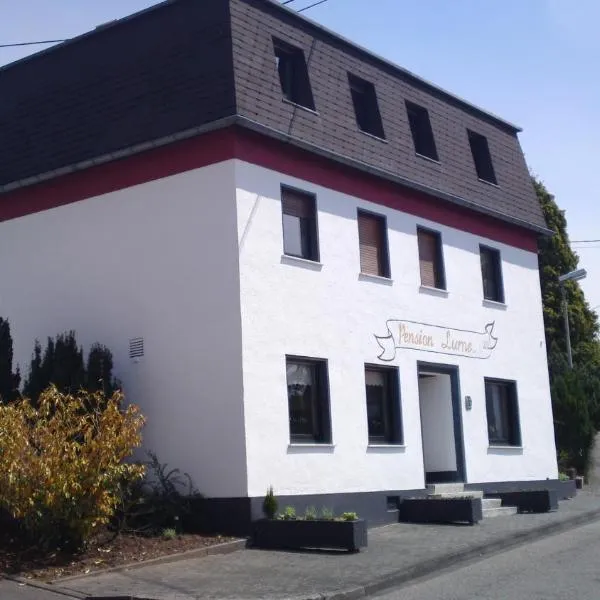 Pension Lume, hotel in Andernach