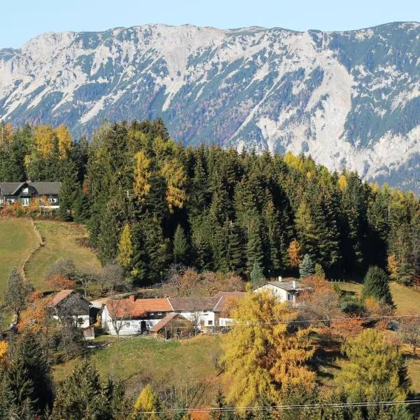 Miniferienwohnung für unkompliziertes Naturliebhaberpärchen, hotel u gradu 'Payerbach'